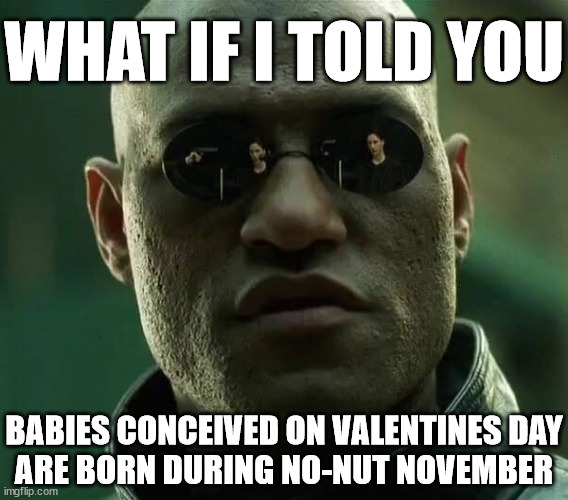 WHAT IF I TOLD YOU; BABIES CONCEIVED ON VALENTINES DAY
ARE BORN DURING NO-NUT NOVEMBER | image tagged in what if i told you,the matrix,matrix,no nut november,valentines day,morpheus | made w/ Imgflip meme maker