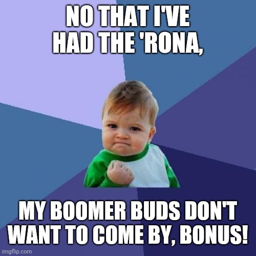 Success Kid | NO THAT I'VE HAD THE 'RONA, MY BOOMER BUDS DON'T WANT TO COME BY, BONUS! | image tagged in memes,success kid | made w/ Imgflip meme maker