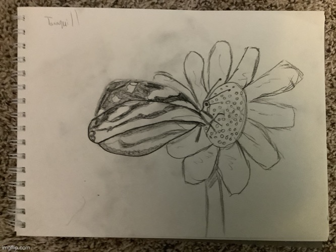 Butterfly | image tagged in butterfly,drawing | made w/ Imgflip meme maker
