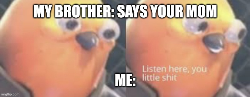 Sut | MY BROTHER: SAYS YOUR MOM; ME: | image tagged in listen here you little shit bird | made w/ Imgflip meme maker