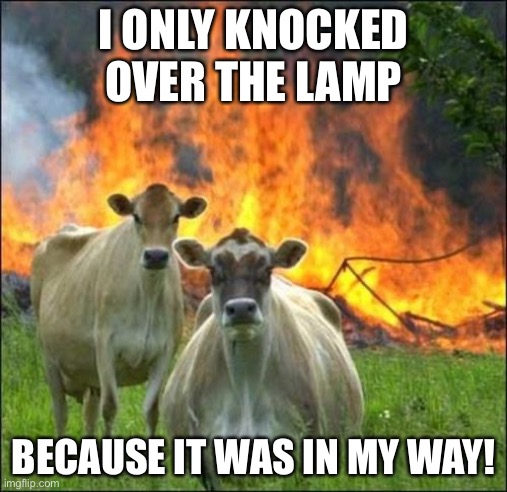 Lamp fire | I ONLY KNOCKED OVER THE LAMP; BECAUSE IT WAS IN MY WAY! | image tagged in memes,evil cows,fire | made w/ Imgflip meme maker