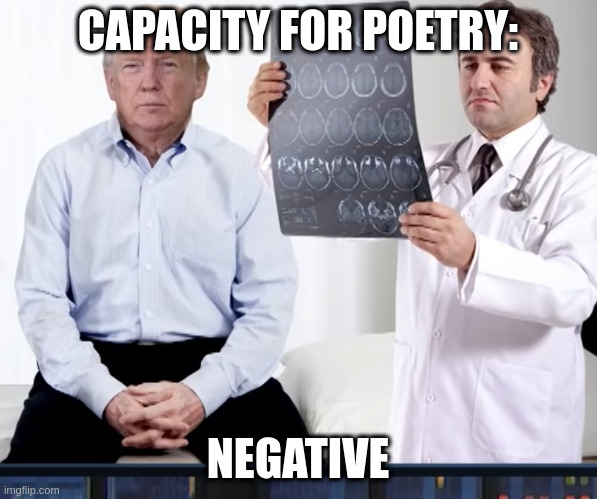 Vogons would eject this man into space | CAPACITY FOR POETRY:; NEGATIVE | image tagged in diagnoses,gop | made w/ Imgflip meme maker
