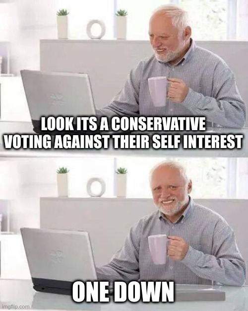 Hide the Pain Harold Meme | LOOK ITS A CONSERVATIVE VOTING AGAINST THEIR SELF INTEREST ONE DOWN | image tagged in memes,hide the pain harold | made w/ Imgflip meme maker
