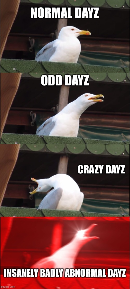 my moms feelings as told by memezXD | NORMAL DAYZ; ODD DAYZ; CRAZY DAYZ; INSANELY BADLY ABNORMAL DAYZ | image tagged in memes,inhaling seagull | made w/ Imgflip meme maker