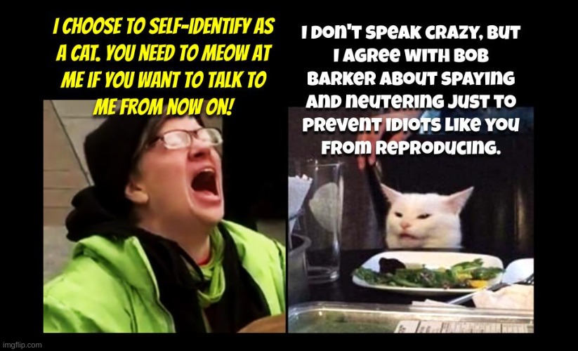It's getting so where being sane anymore is looked upon as mental illness by Leftists nowadays | image tagged in stupid liberals,liberals vs conservatives,politics,political | made w/ Imgflip meme maker
