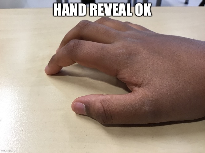 Hand reveal ok (look at the description) | HAND REVEAL OK | image tagged in 1977 vroom vroom | made w/ Imgflip meme maker