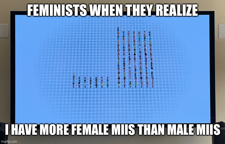 FEMINISTS WHEN THEY REALIZE; I HAVE MORE FEMALE MIIS THAN MALE MIIS | made w/ Imgflip meme maker