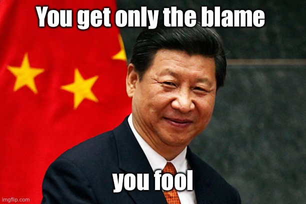 Xi Jinping | You get only the blame you fool | image tagged in xi jinping | made w/ Imgflip meme maker