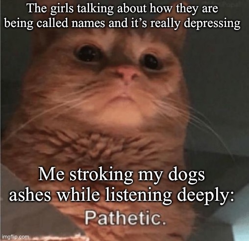 Pathetic Cat | The girls talking about how they are being called names and it’s really depressing; Me stroking my dogs ashes while listening deeply: | image tagged in pathetic cat | made w/ Imgflip meme maker