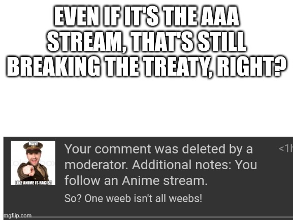 Blank White Template | EVEN IF IT'S THE AAA STREAM, THAT'S STILL BREAKING THE TREATY, RIGHT? | image tagged in blank white template | made w/ Imgflip meme maker