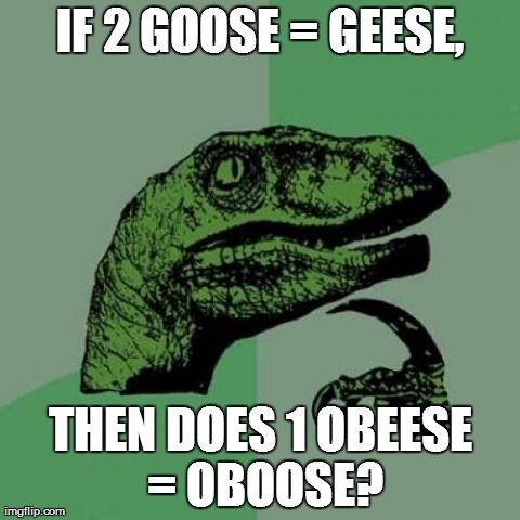 Philosoraptor | IF 2 GOOSE = GEESE, THEN DOES 1 OBEESE = OBOOSE? | image tagged in memes,philosoraptor | made w/ Imgflip meme maker