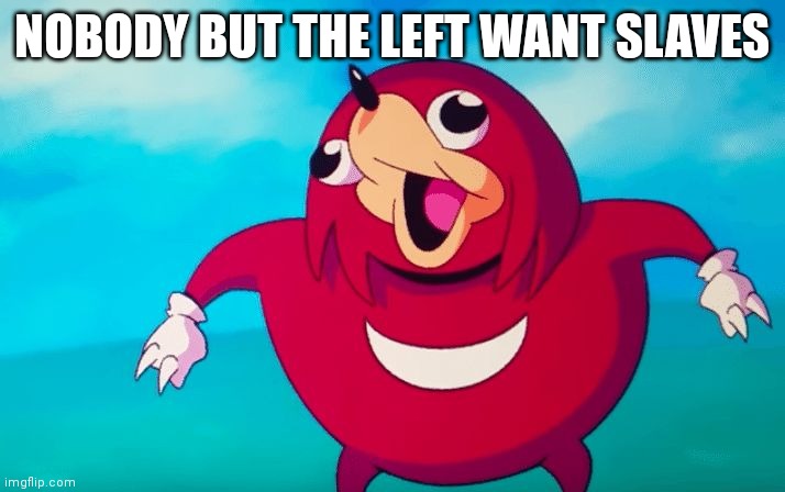 NOBODY BUT THE LEFT WANT SLAVES | image tagged in ugandan knuckles | made w/ Imgflip meme maker