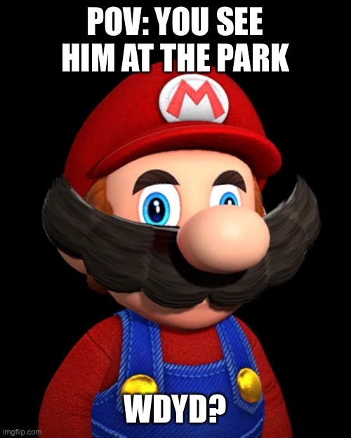 SMG4 Mario | POV: YOU SEE HIM AT THE PARK; WDYD? | image tagged in smg4 mario,smg4 | made w/ Imgflip meme maker