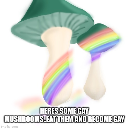 Im not finished with them yet | HERES SOME GAY MUSHROOMS..EAT THEM AND BECOME GAY | image tagged in gay | made w/ Imgflip meme maker