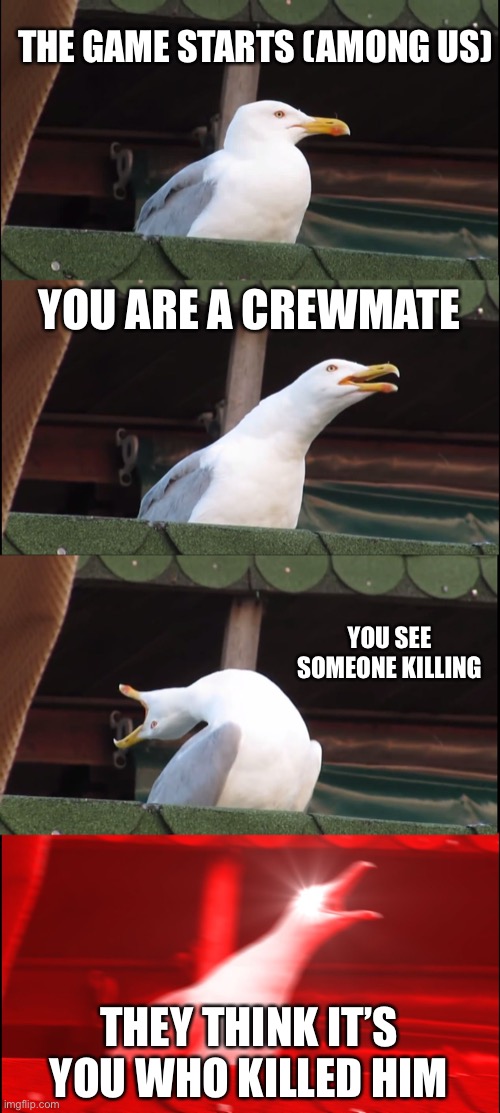 Inhaling Seagull | THE GAME STARTS (AMONG US); YOU ARE A CREWMATE; YOU SEE SOMEONE KILLING; THEY THINK IT’S YOU WHO KILLED HIM | image tagged in memes,inhaling seagull | made w/ Imgflip meme maker