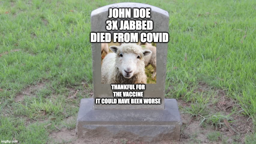 Sheeple | JOHN DOE
3X JABBED
DIED FROM COVID; THANKFUL FOR THE VACCINE
IT COULD HAVE BEEN WORSE | image tagged in covid-19 | made w/ Imgflip meme maker