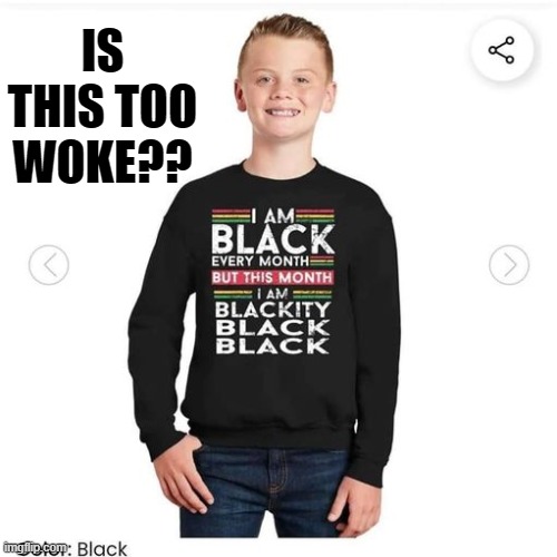 Is this too WOKE? | IS THIS TOO WOKE?? | image tagged in woke | made w/ Imgflip meme maker