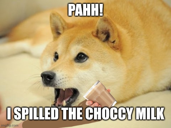 Oh no | PAHH! I SPILLED THE CHOCCY MILK | image tagged in doge shocked | made w/ Imgflip meme maker