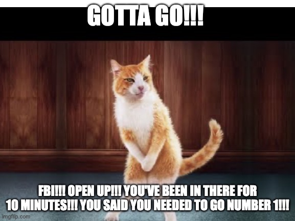 GOTTA GO!!! FBI!!! OPEN UP!!! YOU'VE BEEN IN THERE FOR 10 MINUTES!!! YOU SAID YOU NEEDED TO GO NUMBER 1!!! | image tagged in memes,cats | made w/ Imgflip meme maker
