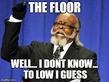 Too Damn High | THE FLOOR WELL... I DONT KNOW... TO LOW I GUESS | image tagged in memes,too damn high | made w/ Imgflip meme maker
