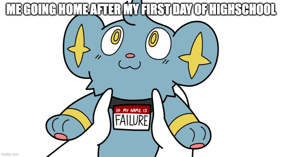 Hi my name is failure | ME GOING HOME AFTER MY FIRST DAY OF HIGHSCHOOL | image tagged in hi my name is failure | made w/ Imgflip meme maker