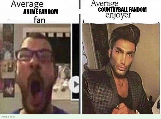 Average *BLANK* Fan VS Average *BLANK* Enjoyer | COUNTRYBALL FANDOM; ANIME FANDOM | image tagged in average blank fan vs average blank enjoyer | made w/ Imgflip meme maker