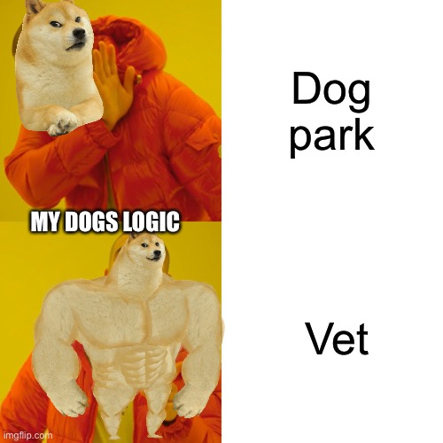 My dogs logic | Dog park; MY DOGS LOGIC; Vet | image tagged in memes,drake hotline bling | made w/ Imgflip meme maker