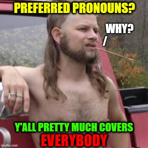 he, she, it, his, hers, theirs, him, them, I, me, you, yours, himself, herself, themselves... Isn't that enuf? | PREFERRED PRONOUNS? Y'ALL PRETTY MUCH COVERS EVERYBODY WHY?
/ | image tagged in vince vance,rednecks,ya'll,y'all,pronouns,memes | made w/ Imgflip meme maker