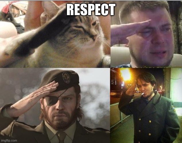 Ozon's Salute | RESPECT | image tagged in ozon's salute | made w/ Imgflip meme maker