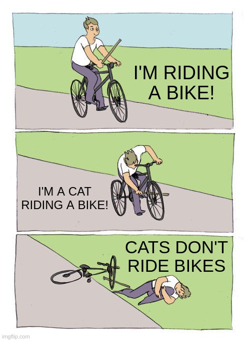 Cats don't ride bikes | I'M RIDING A BIKE! I'M A CAT RIDING A BIKE! CATS DON'T RIDE BIKES | image tagged in memes,bike fall,cat | made w/ Imgflip meme maker