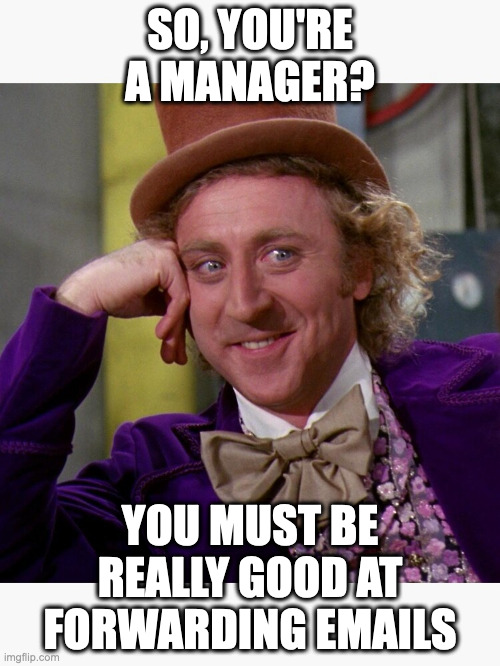 Man in funny clothes saying: So, you are a manager? You must be really good at forwarding emails.