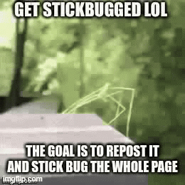 repost | image tagged in gifs,stickbug | made w/ Imgflip images-to-gif maker