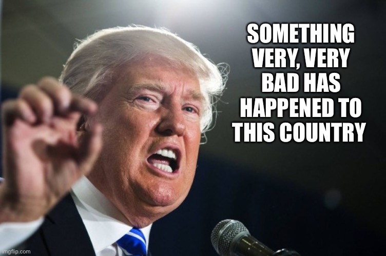 donald trump | SOMETHING VERY, VERY BAD HAS HAPPENED TO THIS COUNTRY | image tagged in donald trump | made w/ Imgflip meme maker