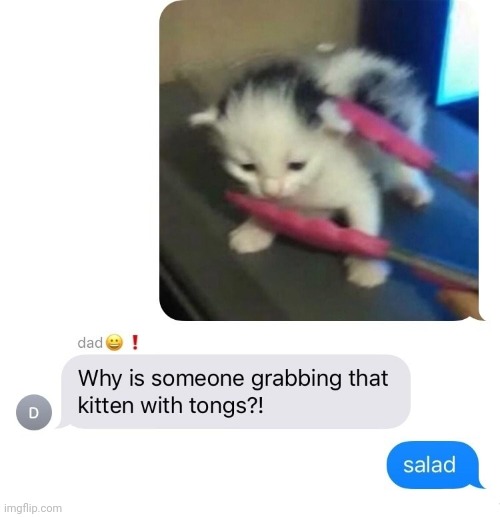 salad | image tagged in salad | made w/ Imgflip meme maker