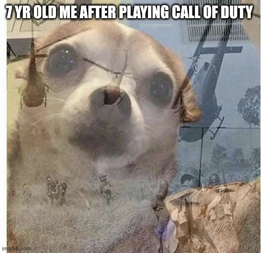 Kill | 7 YR OLD ME AFTER PLAYING CALL OF DUTY | image tagged in ptsd chihuahua | made w/ Imgflip meme maker