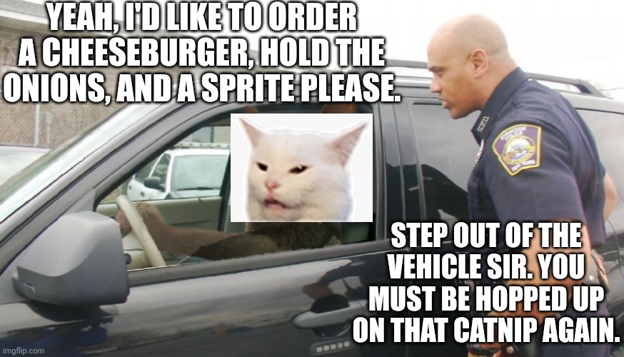 YEAH, I'D LIKE TO ORDER A CHEESEBURGER, HOLD THE ONIONS, AND A SPRITE PLEASE. STEP OUT OF THE VEHICLE SIR. YOU MUST BE HOPPED UP ON THAT CATNIP AGAIN. | image tagged in smudge the cat | made w/ Imgflip meme maker