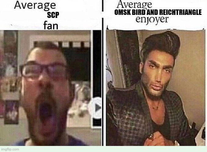 Average *BLANK* Fan VS Average *BLANK* Enjoyer | OMSK BIRD AND REICHTRIANGLE; SCP | image tagged in average blank fan vs average blank enjoyer | made w/ Imgflip meme maker