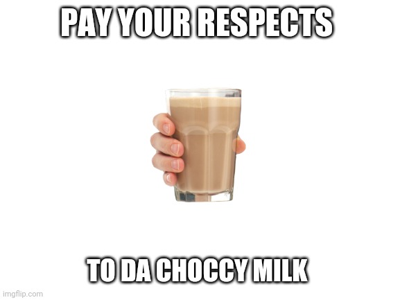 Pay respect you memers | PAY YOUR RESPECTS; TO DA CHOCCY MILK | image tagged in blank white template,choccy milk | made w/ Imgflip meme maker