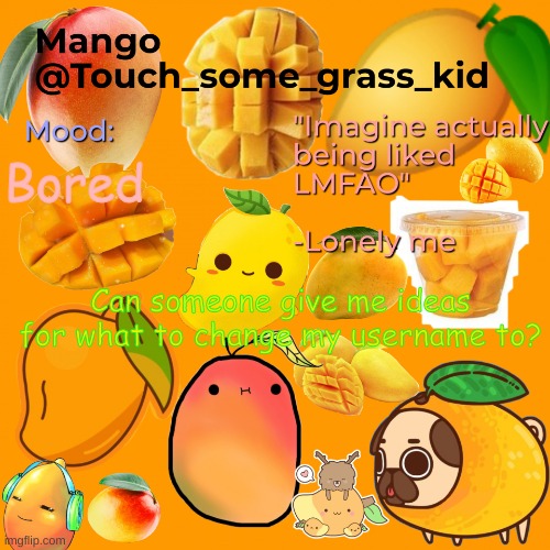 h e l p | Bored; Can someone give me ideas for what to change my username to? | image tagged in mango's temp bc bored | made w/ Imgflip meme maker