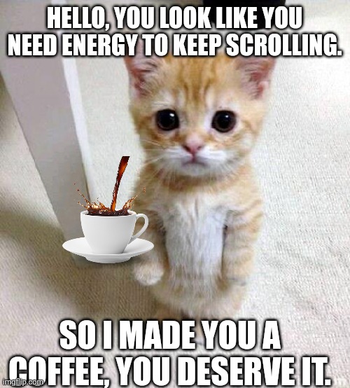 coffee cat | HELLO, YOU LOOK LIKE YOU NEED ENERGY TO KEEP SCROLLING. SO I MADE YOU A COFFEE, YOU DESERVE IT. | image tagged in memes,cute cat | made w/ Imgflip meme maker