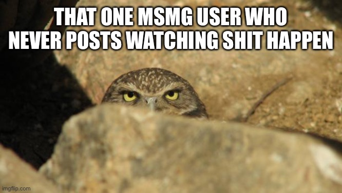 lurking | THAT ONE MSMG USER WHO NEVER POSTS WATCHING SHIT HAPPEN | image tagged in lurking | made w/ Imgflip meme maker