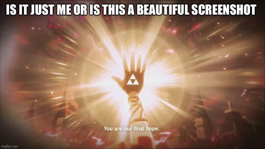 Zelda you are our final hope | IS IT JUST ME OR IS THIS A BEAUTIFUL SCREENSHOT | image tagged in zelda you are our final hope | made w/ Imgflip meme maker