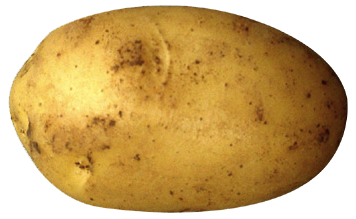 potato Blank Meme Template