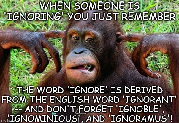 This will be ignored | WHEN SOMEONE IS 'IGNORING' YOU JUST REMEMBER; THE WORD 'IGNORE' IS DERIVED FROM THE ENGLISH WORD 'IGNORANT' -- AND DON'T FORGET 'IGNOBLE', 'IGNOMINIOUS', AND 'IGNORAMUS'! | image tagged in ignorant,ignorance,ignoring | made w/ Imgflip meme maker