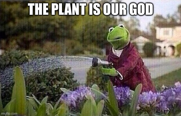 behold, the plant | THE PLANT IS OUR GOD | image tagged in kermit watering plants | made w/ Imgflip meme maker