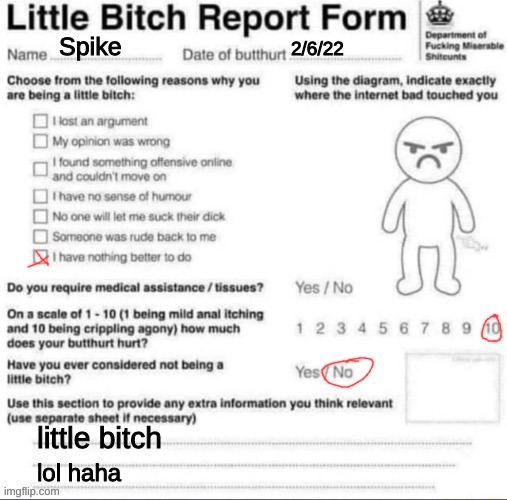 Little bitch report form | Spike; 2/6/22; little bitch; lol haha | image tagged in little bitch report form | made w/ Imgflip meme maker