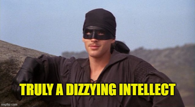 Dizzying Intellect | TRULY A DIZZYING INTELLECT | image tagged in dread pirate roberts | made w/ Imgflip meme maker