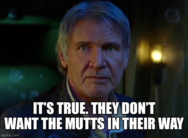 It's true, all of it!  | IT’S TRUE. THEY DON’T WANT THE MUTTS IN THEIR WAY | image tagged in it's true all of it | made w/ Imgflip meme maker