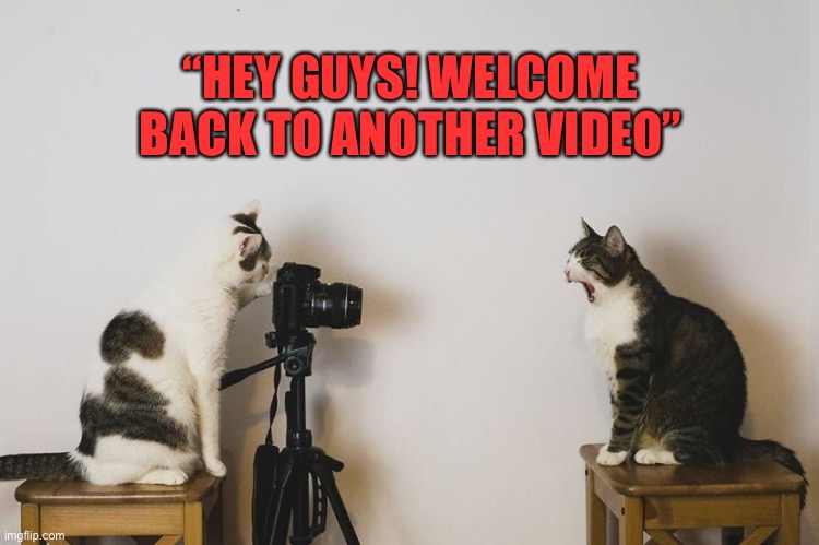 “HEY GUYS! WELCOME BACK TO ANOTHER VIDEO” | image tagged in cats,funny,memes,recording | made w/ Imgflip meme maker