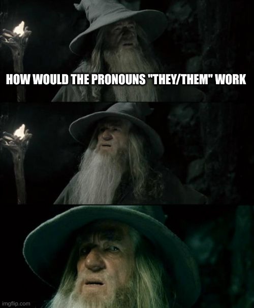 Confused Gandalf | HOW WOULD THE PRONOUNS "THEY/THEM" WORK | image tagged in memes,confused gandalf | made w/ Imgflip meme maker